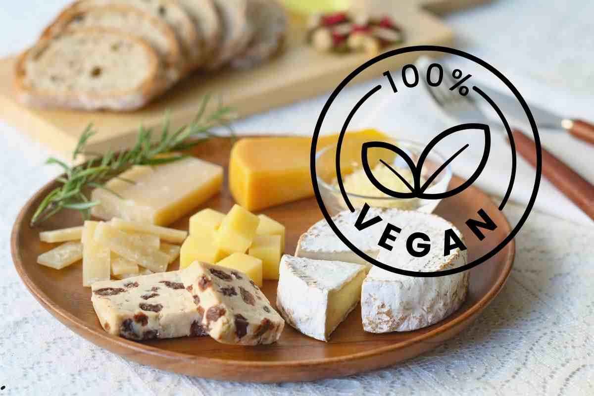 Formaggio vegano, cosa mangiamo veramente Ristorantiregionali.it (1)